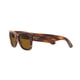 thumbnail image 3 of Lentes De Sol Mega Wayfarer Marrón Talla M, 3 of 3