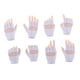 thumbnail image 5 of Modelo De Manos Y Guantes A Escala 1/6 Para Figura Femenina De 12" (blanco), 5 of 5