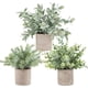 thumbnail image 1 of Fake Plants Der Rose, minimaceta de eucalipto, paquete de 3 unidades, 1 of 8