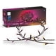 thumbnail image 1 of Cadena de luces Philips Hue Festavia, 130 pies, 500 minildes, 1 of 7