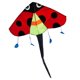 thumbnail image 4 of Ladybug Fly Kite Easy To Fly Triangle Kite Con Cuerda Delta Kite Para Deportes, 4 of 5