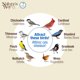 thumbnail image 5 of Comedero para Aves Nature's Way 17 cm de 2 Tazas con Montaje por Succión, 5 of 8