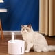 thumbnail image 3 of Bebedero Dispensador De Agua Para Mascotas Hogar Lau, 3 of 3