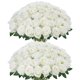 thumbnail image 1 of Flores Artificiales InnoGear 50 Rosas Blancas, 1 of 7