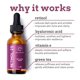 thumbnail image 4 of Suero Anti-Envejecimiento Retinol 2% con Vitaminas A y E Eve Hansen 30 mL, 4 of 7