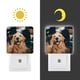 thumbnail image 3 of Golden Retriever Luz nocturna LED con sensor de anochecer a amanecer para dormitorio, baño, pasillo, escaleras - Lámpara LED nocturna de enchufe, 0.5W - 1 pieza, 3 of 6