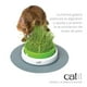 thumbnail image 2 of Kit Germinador de Pasto Catit Cat Grass, 2 of 3