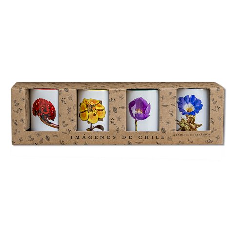 Andes1 - Set De 4 Tazas De Flores N°2