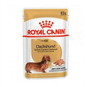 Royal Canin Dachshund Adulto Sachet 85Gr