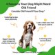 thumbnail image 2 of Suplemento Pet Wellbeing Old Friend Senior Dogs 59 ml, 2 of 7