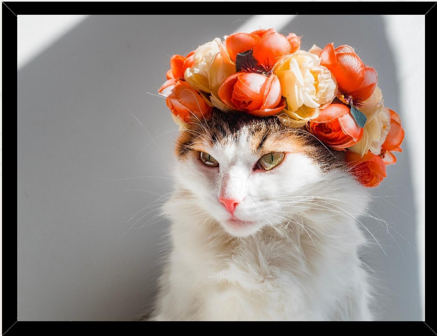 Genérico - Cuadro Decorativo Gatita Con Flores Medidas 30X40 Cm