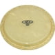 thumbnail image 1 of Piel para conga Latin Percussion CP640A Combo Rawhide de 10'', 1 of 1