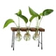 thumbnail image 4 of Florero Hidropónico Florero De Vidrio Florero Moderno Para El Hogar Sala De Estar Tres Botellas, 4 of 5