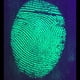 thumbnail image 3 of Kit ForensiKit de polvo magnético fluorescente para escena del crimen, 3 of 7