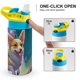 thumbnail image 4 of Corgi Botella de Agua con Tapa Pop Top de Un Toque, Acero Inoxidable, a Prueba de Fugas, para Deportes, Botella Infantil azul 12 oz, 4 of 6