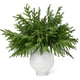 thumbnail image 1 of Ramas Artificiales de Pino Norfolk WeGuard 46 cm Follaje Artificial Verde, 1 of 8