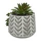 thumbnail image 2 of Planta Artificial suculenta colgante, 2 of 4