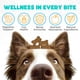 thumbnail image 2 of Masticables Probióticos Para Perros Con Enzimas Y 150 Unidades, 2 of 7