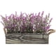 thumbnail image 1 of LAVANDA EN MACETERO DE MADERA 21 CM, 1 of 3