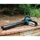 thumbnail image 2 of Makita Trituradora y Aspiradora XBU04ZV 36 V (18 V X2) LXT®, 2 of 3