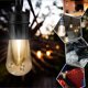 thumbnail image 2 of Cadena de luces Enbrighten 35646 Vintage de 7,3 m con cable negro, 2 of 8