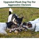 thumbnail image 2 of SHARLOVY No Stuffing Dog Toys Crinkle Squeaky, Long Lasting, 2 of 3