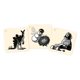 thumbnail image 4 of Juego de mesa CGE Codenames Pictures 2.ª edición, fiesta, 4 of 4