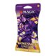 thumbnail image 3 of Coleccionista Booster Magic The Gathering Dominaria United, 3 of 3