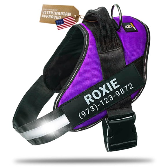 Arnés para Perro Doggykingdom Púrpura Reflectante Personalizable