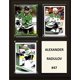 thumbnail image 1 of Placa C&I Collectables NHL Dallas Stars 20x25 cm marrón, 1 of 1