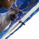 thumbnail image 4 of Frozen 3-Piece Bedding Set Soft Warm And Comfortable Bed Set, 4 of 5
