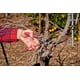 thumbnail image 2 of Forja Bypass poda tijeras para jardinería | Corta ramas y tallos de hasta 1/2 pulgada en diámetro de 20 cm de longitud, rojo, 2 of 3