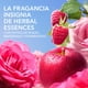 thumbnail image 3 of Perfume Herbal Essences para Cabello Fragancia a Rosas, 90 ml, 3 of 3