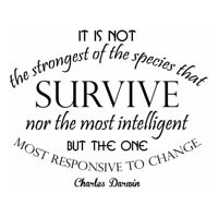 Rienda Libre Graphics - Decomural Survive And Change Charles Darwin Ws-44082