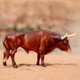 thumbnail image 3 of Figura Breyer Horses Traditional Series Texas Longhorn Bull, 3 of 5