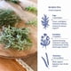 thumbnail image 5 of Té De Hierbas Griego Superherbs Ikaria Orgánico Sin Cafeína 50 G, 5 of 8