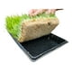 thumbnail image 3 of 10pcs Bandeja Germinación Hidroponía Forraje Sin Agujeros Set 10 U, 3 of 5