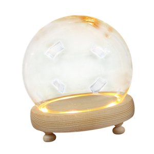 Magideal - Cúpula De Exhibición Con Base De Madera, Campana, Vitrina, Centro De Mesa, Accesorio Para Casa De Muñecas, Cubierta De Terrario, Escaparate, Cúpula 10 Centímetros