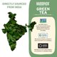 thumbnail image 4 of Té verde suelto HANDPICK 255 g sin OGM de los Himalayas, 4 of 9