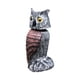 thumbnail image 1 of Señuelo de búho para asustar a los pájaros, pájaros carpinteros, escultura de búho, simulación de búho, disuasorio de aves, estatuas de búho para porc Estilo A, 1 of 5
