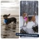 thumbnail image 5 of Collar LED PAJ GPS para Perro (Pack de 2), Impermeable, 7 Colores, 5 of 8