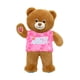 thumbnail image 1 of PELUCHE LIL BROWNIE + POLERA CUMPLEAÑOS ROSA BUILD-A-BEAR, 1 of 2