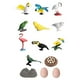 thumbnail image 1 of Figuras De Juguete De Animales, Minifiguras De Animales Realistas De Tubo Para Pájaros De Fiesta Temática, 1 of 3
