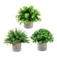 thumbnail image 5 of 3 Piezas Pequeñas Plantas Falsas Plantas Artificiales en Macetas Plantas Decorativas de Imitación en Maceta para Estante de Oficina Decoración de Baño Estilo H, 5 of 5