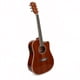 thumbnail image 2 of Guitarra Electroacustica Dustin AF448CE, 2 of 2