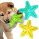 thumbnail image 3 of Juguete Para Morder Estrella Interactivo Mascotas Perros, 3 of 4