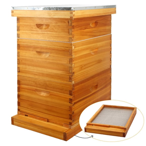 Kit de colmena MayBee de 10 cuadros en madera de cedro recubierta con cera