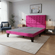 thumbnail image 4 of Cama 2 Plazas Abotonada Incluye Base y Respaldo FUCSIA Flobal, 4 of 4
