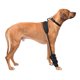 thumbnail image 1 of Venda Terapéutica para Muñeca Pet Therapy Caldera Grande Gel Negro, 1 of 6