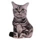 thumbnail image 5 of Soft Hugging Cushion Bed Sofa Headrest Kids Stuffed Cat Toy Blanco Y Negro, 5 of 5